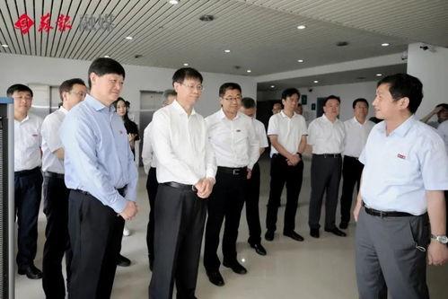 镇平新闻爆料事件最新进展,真相逐步浮出水面